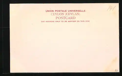 AK Colombo, A Country Lane