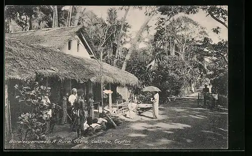 AK Colombo, A Rural Scene