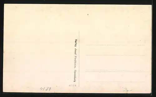 AK Rosenburg a. Kamp, Weinzingervilla