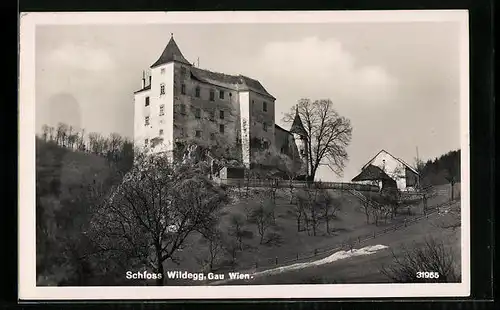 AK Wildegg, Schloss Wildegg