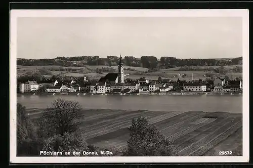 AK Pöchlarn / Donau, Panorama