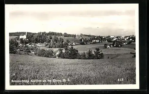 AK Karlstein an der Thaya, Totalansicht
