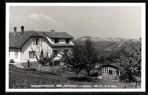 AK Gschaidt i. d. Buckl. Welt, Wohnhaus mit Garten