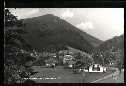 AK Thal, Ortspartie aus der Vogelschau