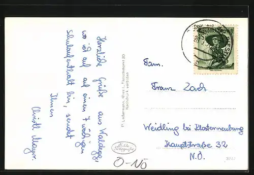 AK Waldegg, Ortsansicht aus der Vogelschau