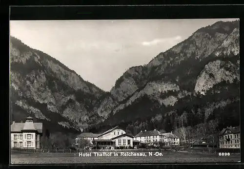AK Reichenau, Ortspartie mit Hotel Thalhof