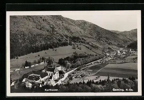 AK Gaming, Karthause aus der Vogelschau