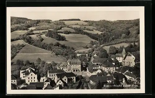 AK Edlitz, Ortspartie aus der Vogelschau