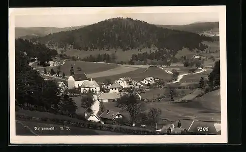 AK Raisenmarkt, Ortsansicht aus der Vogelschau