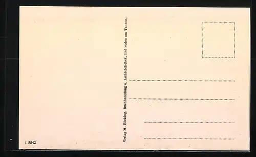 AK Bad Soden am Taunus, Gesamtansicht