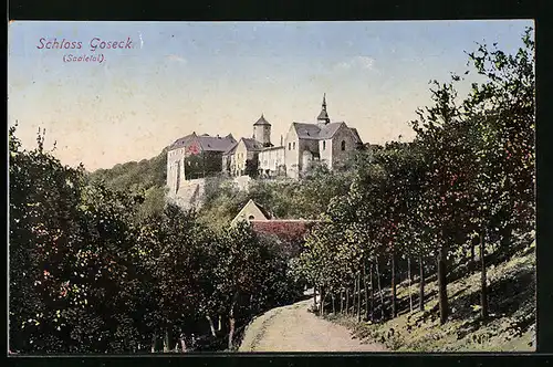 AK Goseck, Schloss Goseck