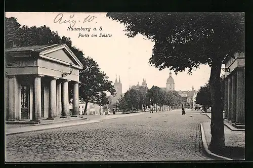 AK Naumburg a. S., Ortspartie am Salztor