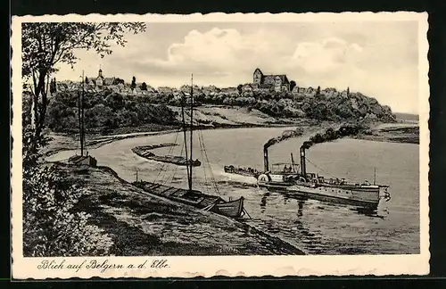 AK Belgern / Elbe, Panorama, Dampfer auf der Elbe