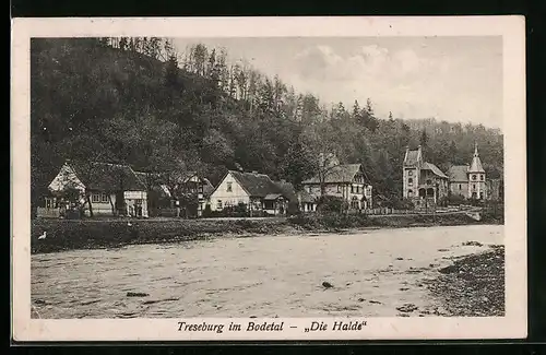AK Treseburg / Harz, Die Halde im Bodetal