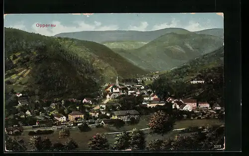 AK Oppenau, Totalansicht