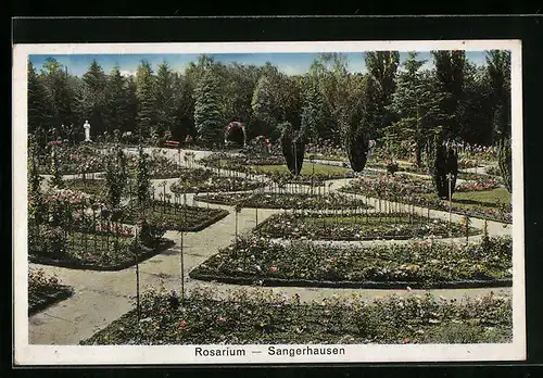 AK Sangerhausen, Rosarium