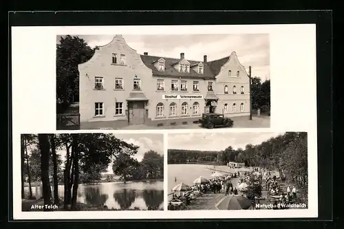 AK Dahlen i. Sa., Gasthof Schmannewitz, Alter Teich und Naturbad Waldteich