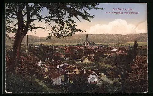 AK Ellrich / Harz, Ortsansicht vom Burgberg aus gesehen
