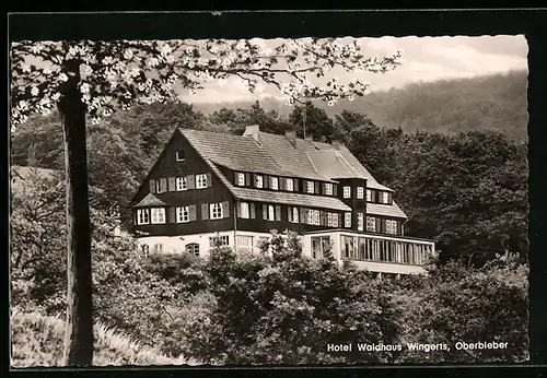 AK Oberbieber / Rengsdorf, Hotel Waldhaus Wingertsberg