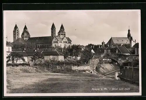 AK Speyer a. Rh., Blick zum Dom