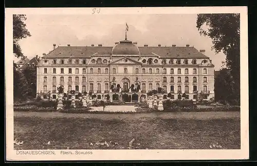 AK Donaueschingen, Fürstliches Schloss