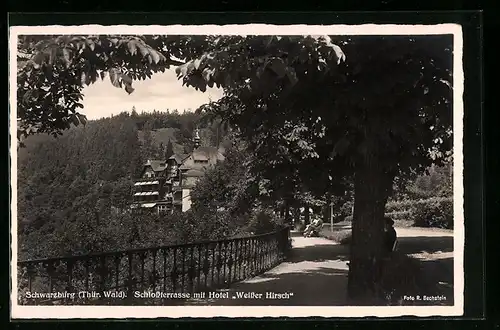 AK Schwarzburg / Thür. Wald, Schlossterrasse mit Hotel Weisser Hirsch