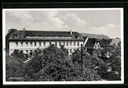 AK Höxter / Weser, St. Petri-Stift, Gartenseite