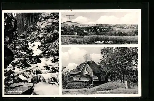AK Dielbach i. Odw., Ortsansicht, Touristenheim und Wolfsschlucht