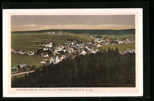 AK Carlsfeld / Erzgeb., Gesamtansicht