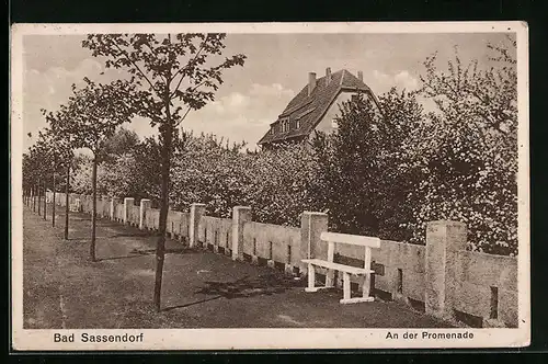 AK Bad Sassendorf, Promenade