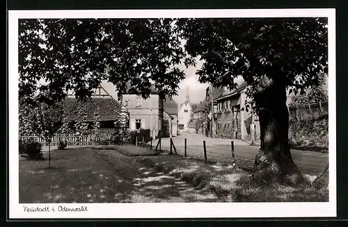 AK Neustadt / Odw., Strassenpartie