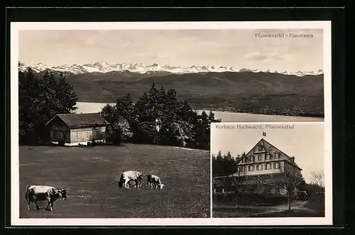 AK Pfannenstiel, Kurhaus Hochwacht, Panorama mit Kühen