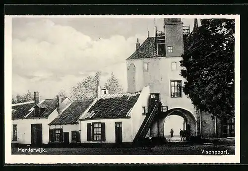 AK Harderwijk, Vischpoort