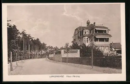 AK Lippspringe, Haus Herzog