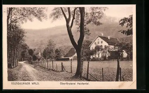 AK Heidental /Teutoburger Wald, Oberförsterei Heidental
