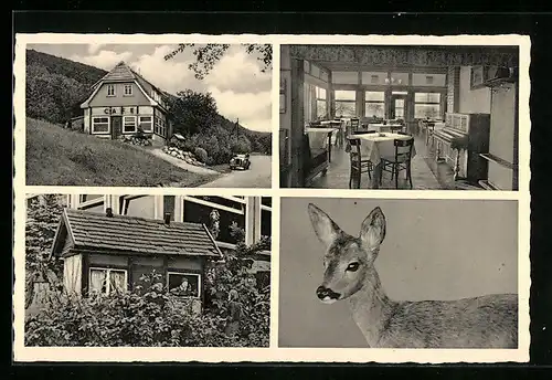 AK Bad-Orb, Cafe Spessartruhe, Innenansicht, Reh