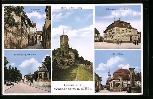 AK Wachenheim a. d. Hdt., Gasthaus der Winzergenossenschaft, Herrenhaus aus d. 16. Jahrh., Ruine Wachtenburg