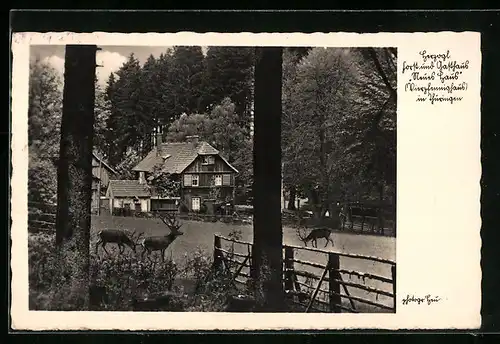 AK Tambach, Herzogliches Forst- und Gasthaus Neues Haus (Vierpfennighaus)