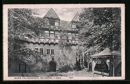 AK Selketal / Harz, Burg Falkenstein, Hof