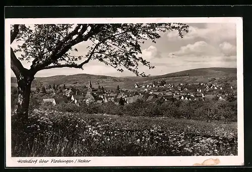 AK Hochdorf, Gesamtansicht