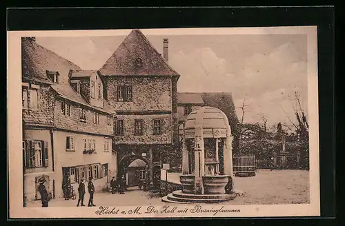AK Höchst a. M., Zoll mit Brüningbrunnen