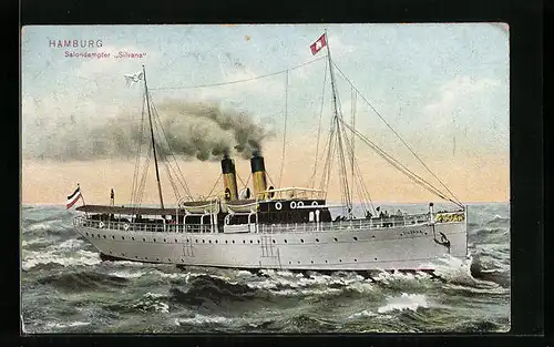 AK Salondampfer Silvana auf leicht düniger See