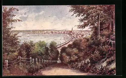 Künstler-AK Aarhus /Jütland, Panorama