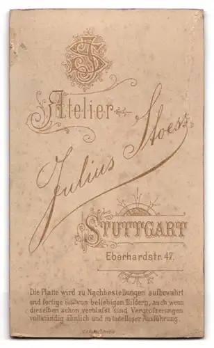 Fotografie Julius Stoess, Stuttgart, Einjährig-Freiwilliger Chevauleger in Gardeuniform