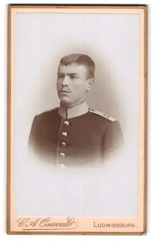 Fotografie C. A. Osswald, Ludwigsburg, Soldat Albert Reinhard in Uniform Rgt. 13