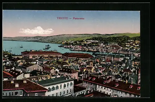 AK Trieste, Teilansicht mit Hafen