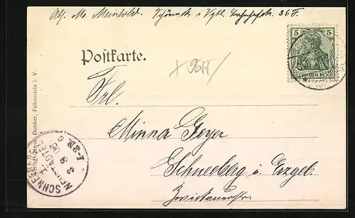 AK Schöneck i. Vgt., Ortspartie