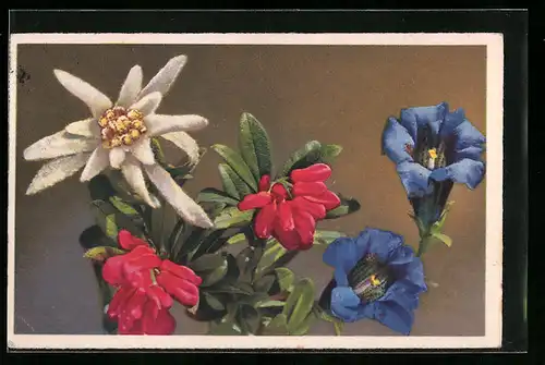 AK Bunte Blumen in Blüte