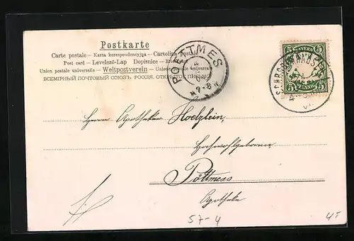 AK Trauben in einem Korb