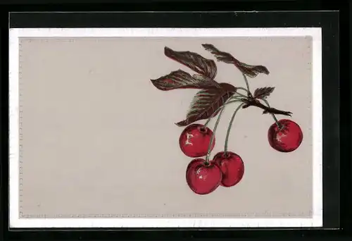 AK Kirschen an einem Ast